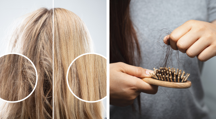 how to repair damaged hair